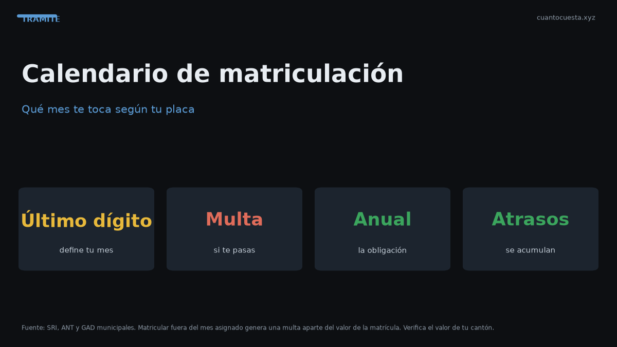 Calendario de matriculación en Ecuador: qué mes te toca según tu placa — gráfico con datos verificados