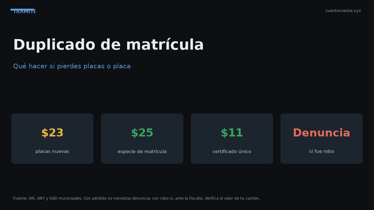 Duplicado de matrícula y placas en Ecuador: qué hacer si las pierdes — gráfico con datos verificados