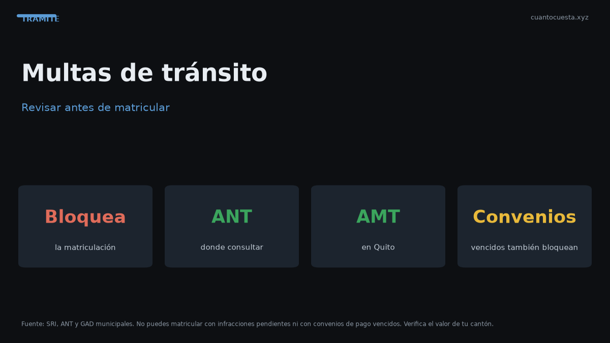 Cómo revisar multas de tránsito en Ecuador antes de matricular — gráfico con datos verificados